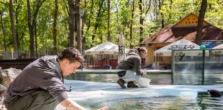 Zoo in Szeged vergibt Tierpatenschaften um zu überleben!