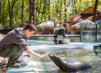 Zoo in Szeged vergibt Tierpatenschaften um zu überleben!