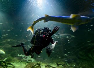 Auch das Theißzentrum kämpft ums Überleben!