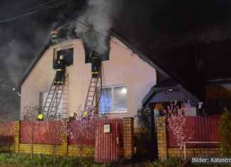 Acht Hunde aus brennendem Wohnhaus in Albertirsa gerettet