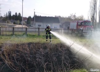 Weiterhin Busch- und Flächenbrände in Ungarn!