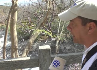 ReiseSprechstunde: Erkunden wir Guanacaste in Costa Rica!