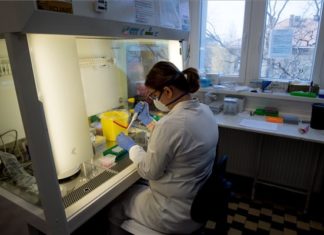 Im größten Virologielabor in Budapest werden Coronavirus-Muster erforscht