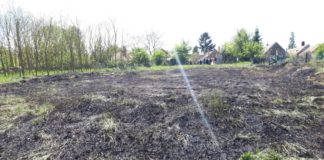 Feuerverbot: Feuer breitete sich enorm schnell aus!