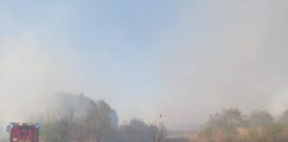 Feuergefahr! Hundert Hektar trockenes Gras brannten bei Tiszafüred