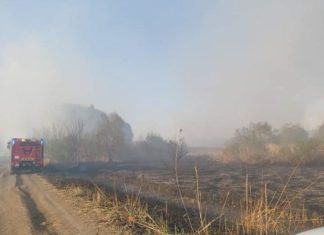Feuergefahr! Hundert Hektar trockenes Gras brannten bei Tiszafüred