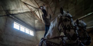 Wie der Nationalzirkus weiterhin trainiert in freiwilliger Quarantäne