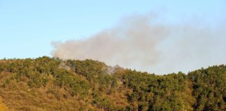 Waldbrände bei Budaörs hält die Feuerwehr stundenland in Atem!