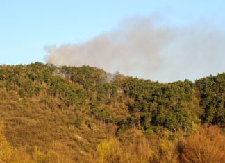Waldbrände bei Budaörs hält die Feuerwehr stundenland in Atem!