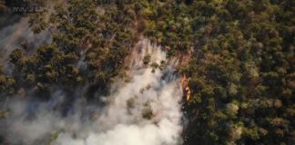 Feuerwehr setzt Dronen ein: Waldbrände bei Budaörs