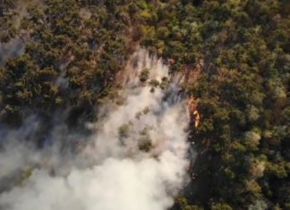 Feuerwehr setzt Dronen ein: Waldbrände bei Budaörs