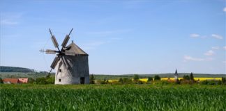 Fototipp: In Tès befindet sich eine holländische Windmühle
