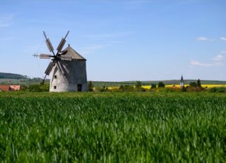 Fototipp: In Tès befindet sich eine holländische Windmühle