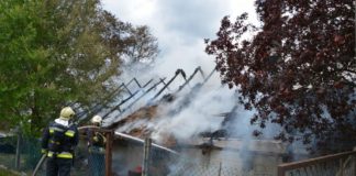 Stallung in Debrecen abgebrannt!