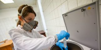 Nachweis von Coronaviren im Abwasser