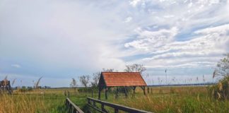 300 Lehrpfade Ungarns auf einer Karte