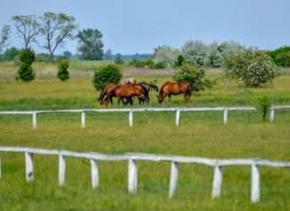 Tag der Nationalparks: Heute einige Aktionen