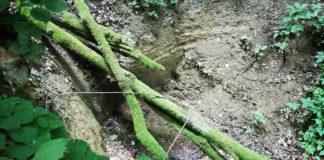 Adventure Trip durch die Wälder von Nagybakonak Köszikla Szurdok