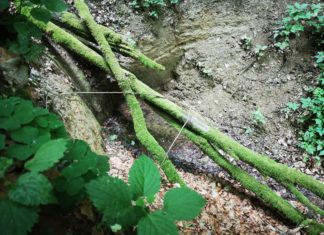 Adventure Trip durch die Wälder von Nagybakonak Köszikla Szurdok