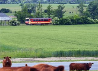 Balassagyarmat-Ipolytarnóc Fahrplanänderungen auf Bahnlinie