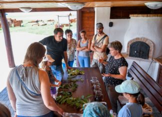 Viel los im Hortobágy Pusztai Zoo am Wochenende