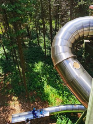 Jeli Arborétum in Kám – Der Blumengarten ist in voller Blüte | Ungarn