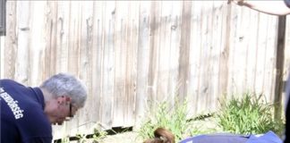 Große Mengen Heroin im Garten eines Ferienhauses gefunden