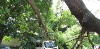 Feuerwehr aktiv: Unwetter besonders in Pest Region