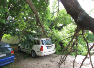 Feuerwehr aktiv: Unwetter besonders in Pest Region