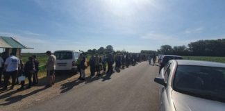 Jede Menge los auf Ungarns Erdbeerfeldern!