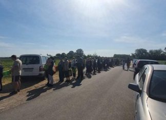 Jede Menge los auf Ungarns Erdbeerfeldern!