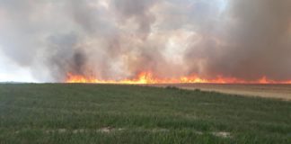 Flächenbrände: Die Feuerwehr ist im Einsatz