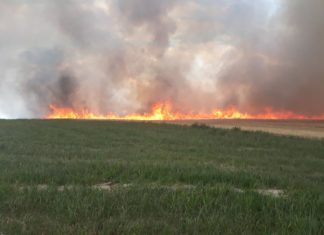 Flächenbrände: Die Feuerwehr ist im Einsatz