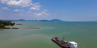 Zuviel Algen im westlichen Becken des Plattensees?