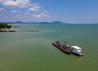 Zuviel Algen im westlichen Becken des Plattensees?