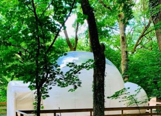 Übernachten im Baumhaus oder Bubble-Dorf