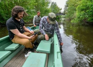 Was ist der Grund für das Fischesterben in Hortobágy?