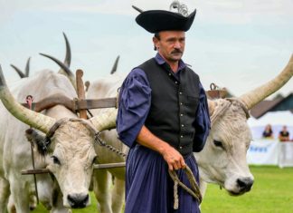 29. Farmer Expo – Agrarmesse in Debrecen eröffnet