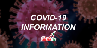 4.926 Neuinfektionen und 143 Todesfälle – Aktuelle Coronavirus-Statistiken Ungarn