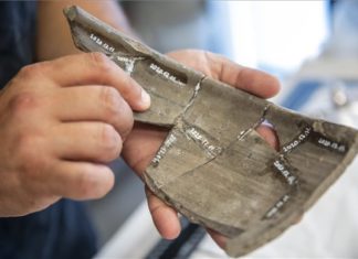 Bei den Ausgrabungen auf der Straßenbahnlinie in Hódmezővásárhely wurden 8000 Gegenstände gefunden