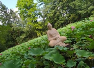 Ungarische Programmtipps für das Wochenende