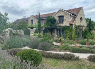 Lavendelausflug nach Dörgicse