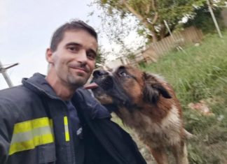 Feuerwehr rettet Hund aus einem 8 Meter tiefen Brunnen