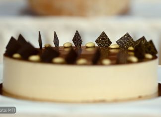 Die Landestorten Ungarns stehen fest