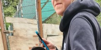 Ungarn Tierschutz: Rigó