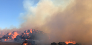 3000 Strohballen brannten auf einer Rinderfarm