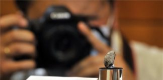 Das erste ungarische Dinosaurier-Ei wurde vorgestellt