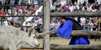 24. Gulaschwettbewerb und Hirtenversammlung in Hortobágy