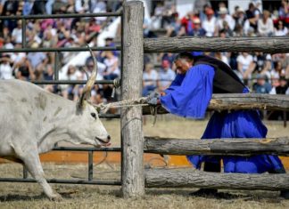 24. Gulaschwettbewerb und Hirtenversammlung in Hortobágy