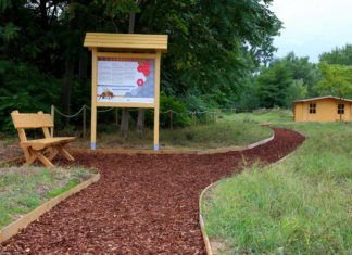 Imkerei der Audi Hungaria unter den besten Nachhaltigkeitsprojekten